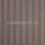 Ковровое покрытие Carpet Concept Sqr Nuance Stripe 5 warm grey Серый — купить в Москве в интернет-магазине Snabimport