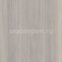 Дизайн плитка Amtico Spacia Abstract SS5A6110 Бежевый — купить в Москве в интернет-магазине Snabimport