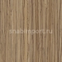 Дизайн плитка Amtico Spacia Wood SS5W2526