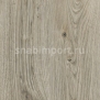 Дизайн плитка Amtico Spacia Wood SS5W2531
