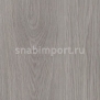 Дизайн плитка Amtico Spacia Wood SS5W2550
