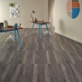 Дизайн плитка Amtico Spacia Bruges Oak SS5W3034 Серый
