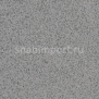 Противоскользящий линолеум Polyflor Polysafe Standard PUR 4020 Silver Birch — купить в Москве в интернет-магазине Snabimport
