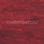 Коммерческий линолеум Polyflor Standard XL 8580 Black Cherry — купить в Москве в интернет-магазине Snabimport
