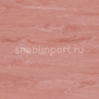 Коммерческий линолеум Polyflor Standard XL 9300 Red Cedar — купить в Москве в интернет-магазине Snabimport