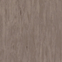 Коммерческий линолеум Tarkett Standart-Plus-0482 коричневый — купить в Москве в интернет-магазине Snabimport