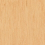 Коммерческий линолеум Tarkett Standart-Plus-0485 оранжевый — купить в Москве в интернет-магазине Snabimport