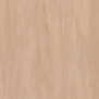 Коммерческий линолеум Tarkett Standart-Plus-0914 коричневый — купить в Москве в интернет-магазине Snabimport
