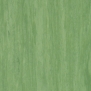 Коммерческий линолеум Tarkett Standart-Plus-0921 зеленый — купить в Москве в интернет-магазине Snabimport