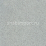 Коммерческий линолеум Tarkett Prisma Stella 7 — купить в Москве в интернет-магазине Snabimport