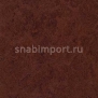 Натуральный линолеум Forbo Marmoleum tile t2784