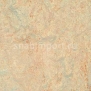 Натуральный линолеум Forbo Marmoleum tile t3120