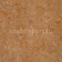 Натуральный линолеум Forbo Marmoleum tile t3233