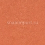 Натуральный линолеум Forbo Marmoleum Modular Colour t3243