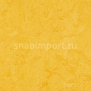 Натуральный линолеум Forbo Marmoleum Modular Colour t3251 — купить в Москве в интернет-магазине Snabimport