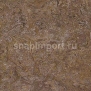 Натуральный линолеум Forbo Marmoleum Modular Marble t3425