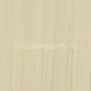 Натуральный линолеум Forbo Marmoleum Modular Lines t3575 — купить в Москве в интернет-магазине Snabimport