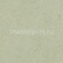 Натуральный линолеум Forbo Marmoleum Modular Colour t3884