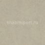 Натуральный линолеум Forbo Marmoleum Modular Colour t3887