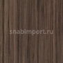 Натуральный линолеум Forbo Marmoleum Modular Lines t5218 — купить в Москве в интернет-магазине Snabimport