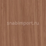 Натуральный линолеум Forbo Marmoleum Modular Lines t5229