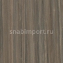 Натуральный линолеум Forbo Marmoleum Modular Lines t5231 — купить в Москве в интернет-магазине Snabimport