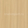 Натуральный линолеум Forbo Marmoleum Modular Lines t5233cg