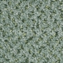 Ковровое покрытие Balsan Tango 230 JADE