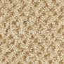 Ковровое покрытие Balsan Tango 320 SABLE