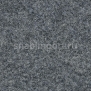 Иглопробивной ковролин Tecsom Tapisom 900 00004 Серый — купить в Москве в интернет-магазине Snabimport