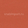Безопасное покрытие Gerflor TARASAFE NON TREATED 7115 — купить в Москве в интернет-магазине Snabimport