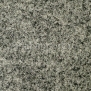 Ковровое покрытие Carpet Concept Tizo B01704 зеленый — купить в Москве в интернет-магазине Snabimport