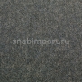 Ковровое покрытие Carpet Concept Tizo B02702
