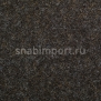 Ковровое покрытие Carpet Concept Tizo B02803 черный — купить в Москве в интернет-магазине Snabimport