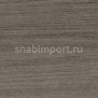 Спортивные покрытия Gerflor Taraflex™ Multi-Use 6.2 8840 — купить в Москве в интернет-магазине Snabimport