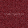 Контрактный ковролин Condor Сarpets Traffic 57 Красный — купить в Москве в интернет-магазине Snabimport