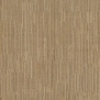 Ковровая плитка Milliken USA ELEVATION True North TRU76 Sandbar