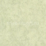 Виниловые обои Koroseal Carrera U321-82