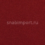 Ковровое покрытие Carpet Concept Uno 1899 Красный — купить в Москве в интернет-магазине Snabimport