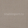 Ковровое покрытие Carpet Concept Uno 40513 Серый — купить в Москве в интернет-магазине Snabimport