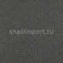 Ковровое покрытие Carpet Concept Uno 54003 Серый — купить в Москве в интернет-магазине Snabimport