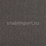 Ковровое покрытие Carpet Concept Uno 54061 Серый — купить в Москве в интернет-магазине Snabimport