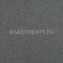 Ковровое покрытие Carpet Concept Uno 54062 Серый — купить в Москве в интернет-магазине Snabimport