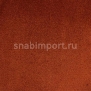 Ковровое покрытие Edel Vanity 145 — купить в Москве в интернет-магазине Snabimport