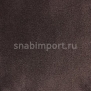 Ковровое покрытие Edel Vanity 183 — купить в Москве в интернет-магазине Snabimport