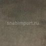 Ковровое покрытие Edel Vanity 184 — купить в Москве в интернет-магазине Snabimport