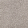 Ковровое покрытие Tapibel Altum Velvet-60212 Серый — купить в Москве в интернет-магазине Snabimport
