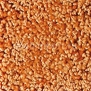 Ковровое покрытие Girloon VISION 700 коричневый — купить в Москве в интернет-магазине Snabimport