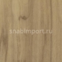 Дизайн плитка Forbo Allura wood w60026