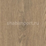 Дизайн плитка Forbo Allura wood w60075 коричневый — купить в Москве в интернет-магазине Snabimport